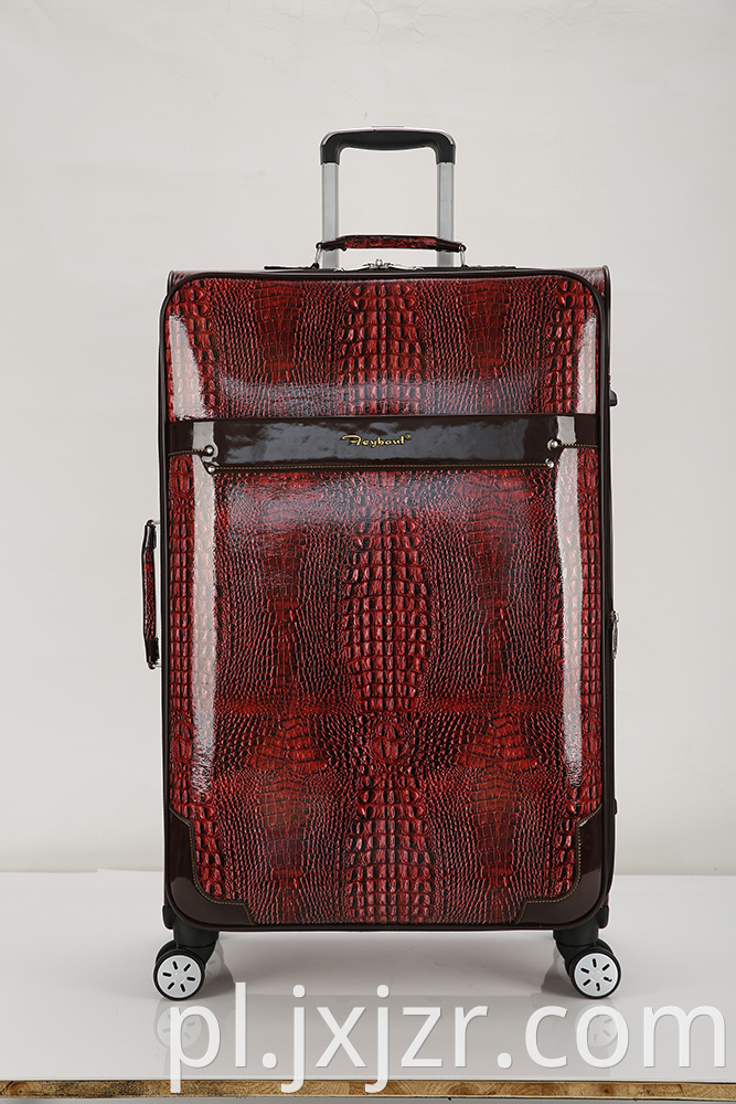 International Carry-on Spinner Trolley